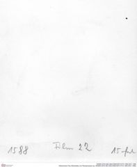 Historisches Foto (Rückseite) von Planoprosopon sp. (NHMW-AFW-GEO-BACHMAYER-FOTO-1990-0041-1588)